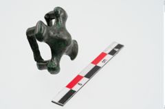 Foto von Bronzeriemendurchzug (NHMW-PRAE-024384)
